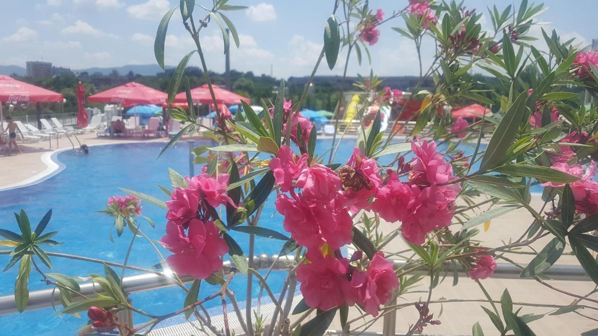 Hotel Aqua Kŭrdzhali Esterno foto